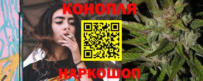 сатива Малгобек