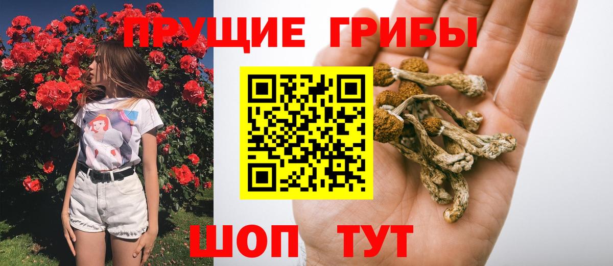 МЕФ   Вход с VPN  МДМА  LSD-25  Якутск  КОКАИН  Магазин наркотиков  ГАШИШ  Кетамин  Альфа ПВП СК кристаллы  Канабис  ГАШИШ 