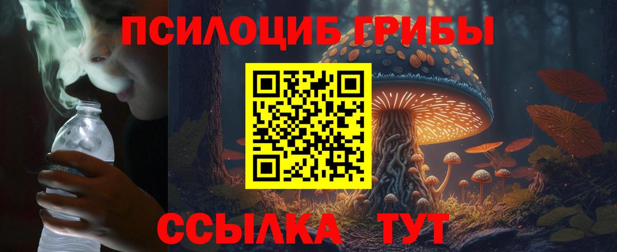 Псилоцибиновые грибы прущие грибы  Вход с VPN  Якутск 